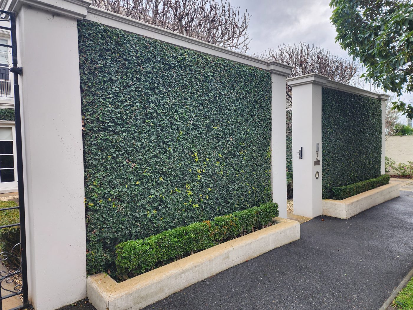 Ivy and hedge work — Neat, tidy boundaries