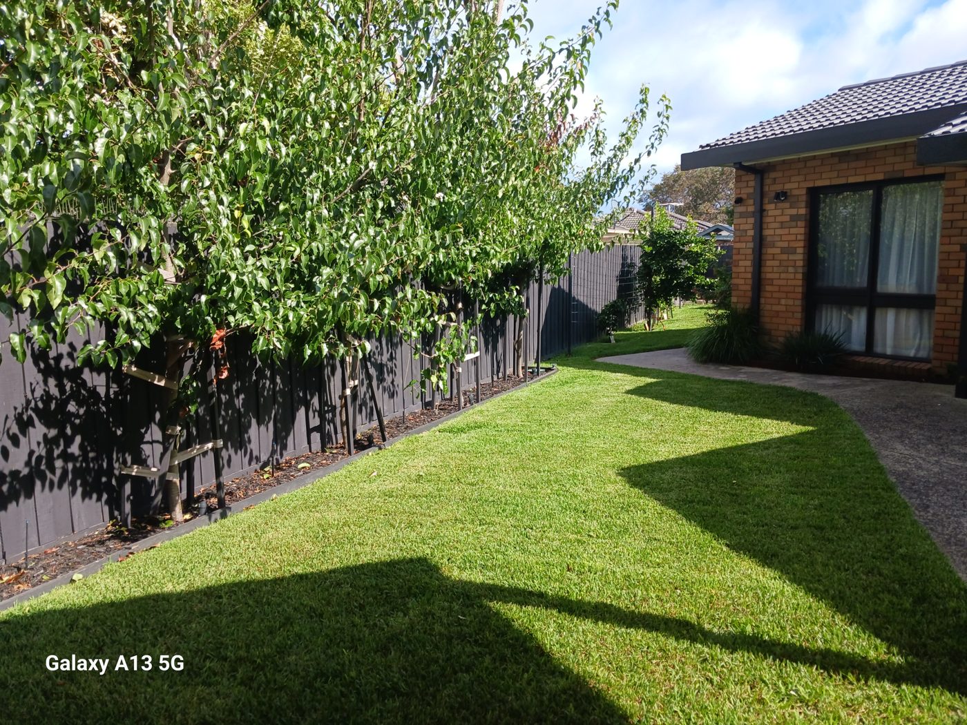 Lawn care — Healthy, manicured turf
