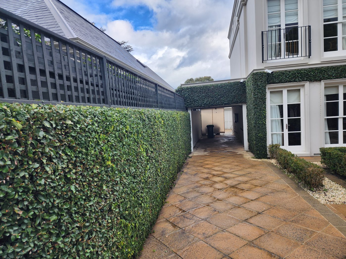 Hedge line — Precision hedge trimming